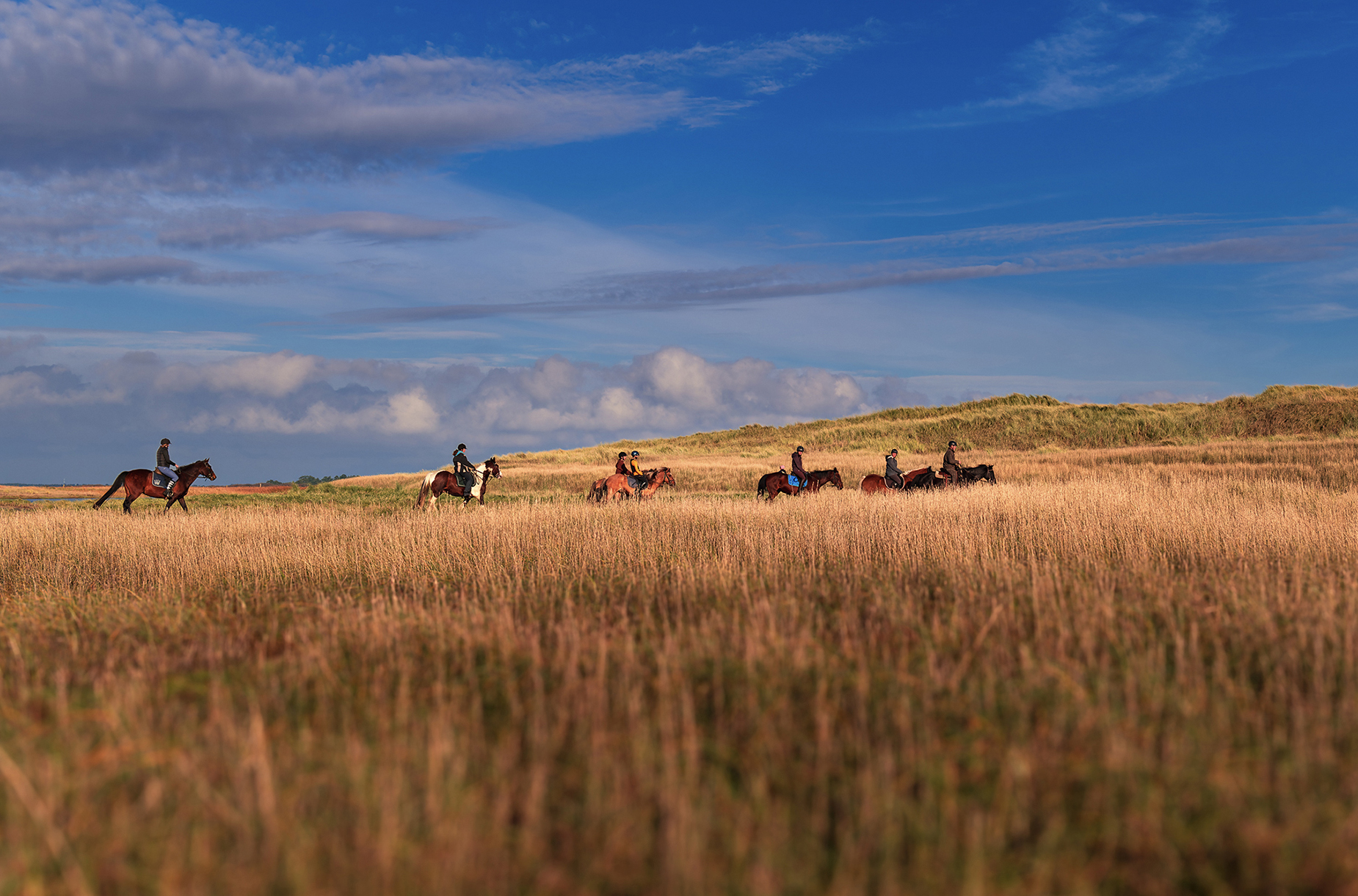 Reiten am Meer