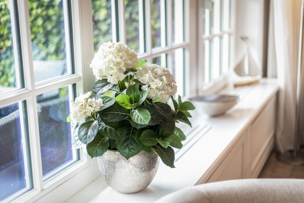 Fensterbank in Ferienwohnung Keitum