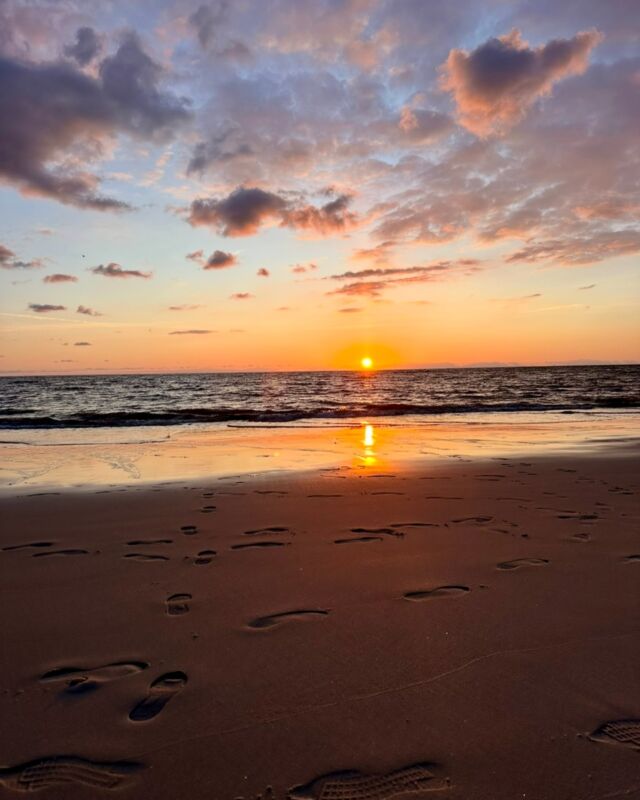 Sylt, du bist wunderschön! ❤️ Deine Sonnenuntergänge sind wie ein liebevolles Augenzwinkern - man kann gar nicht anders, als sich immer wieder neu in dich zu verlieben.

#sylt #syltliebe #sonnenuntergang #urlaub #urlaubaufsylt #wunderschön #wedellurlaub