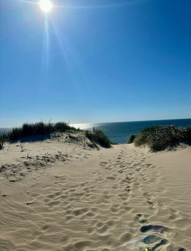 Blauer Himmel, strahlender Sonnenschein – Sylt zeigt sich heute von seiner schönsten Seite! ☀️🌊✨

Ein perfekter Spätsommertag zum Genießen und Verweilen – so lieben wir den Sonntag am Meer. 🐚🌴💙

#Sylt #SyltUrlaub #Spätsommer #InselLiebe #Nordsee #Meeresrauschen #Sommerfeeling #Sonntagsglück #UrlaubAmMeer #Inselmomente #Küstenliebe